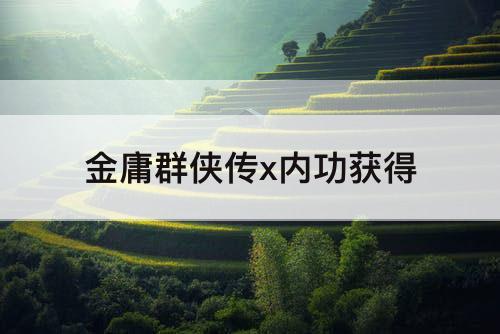 金庸群侠传x内功获得