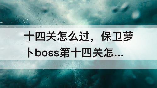 十四关怎么过，保卫萝卜boss第十四关怎么过