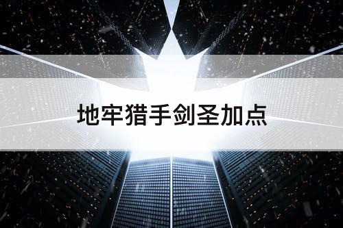 地牢猎手剑圣加点