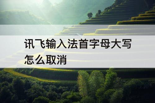 讯飞输入法首字母大写怎么取消