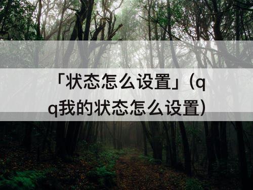 「状态怎么设置」(qq我的状态怎么设置)