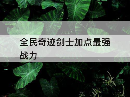 全民奇迹剑士加点最强战力