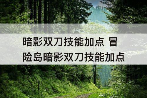 暗影双刀技能加点 冒险岛暗影双刀技能加点