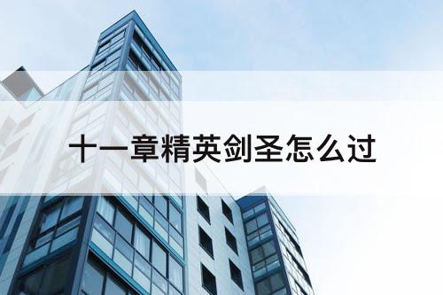十一章精英剑圣怎么过