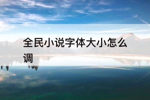 全民小说字体大小怎么调