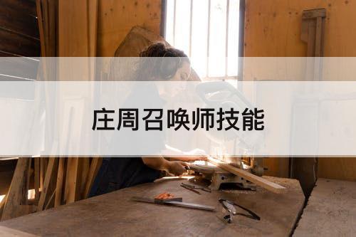 庄周召唤师技能