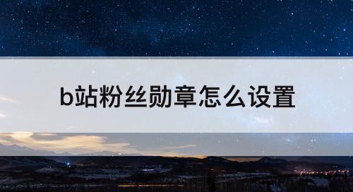 b站粉丝勋章怎么设置