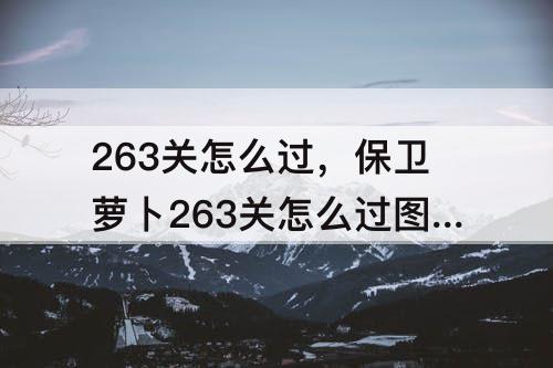 263关怎么过，保卫萝卜263关怎么过图解法