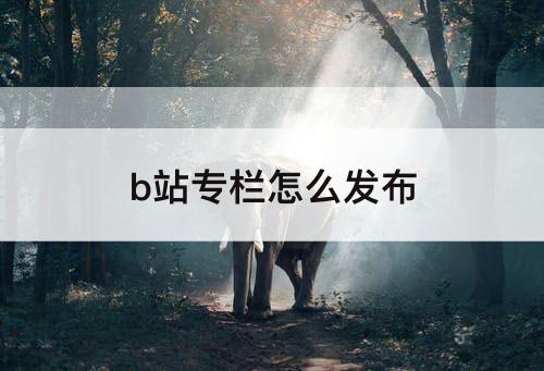 b站专栏怎么发布