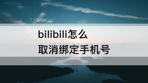 bilibili怎么取消绑定手机号