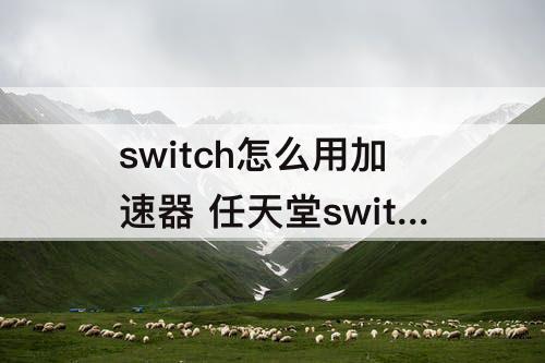 switch怎么用加速器 任天堂switch怎么用加速器
