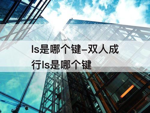 ls是哪个键-双人成行ls是哪个键