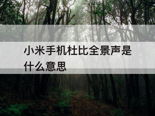 小米手机杜比全景声是什么意思