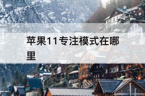 苹果11专注模式在哪里