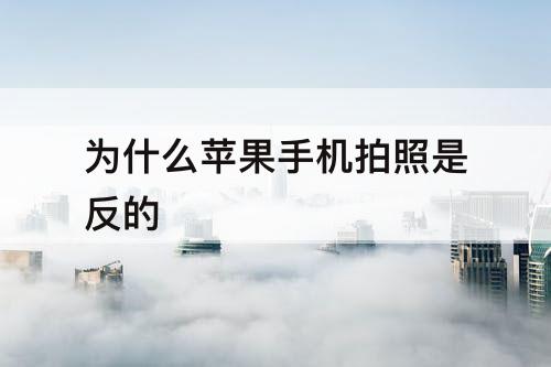 为什么苹果手机拍照是反的