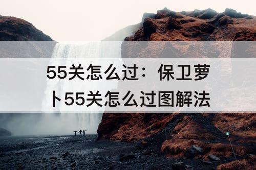 55关怎么过：保卫萝卜55关怎么过图解法