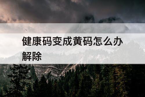 健康码变成黄码怎么办解除