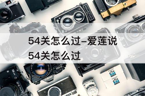 54关怎么过-爱莲说54关怎么过