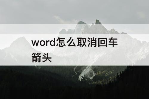 word怎么取消回车箭头