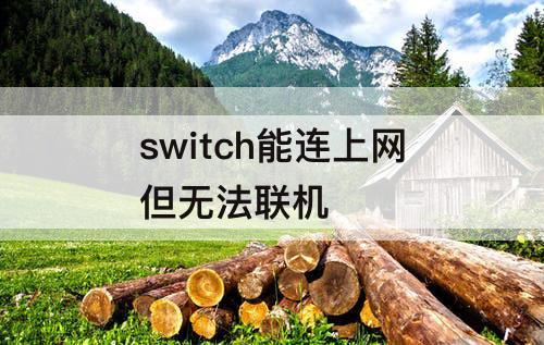 switch能连上网但无法联机