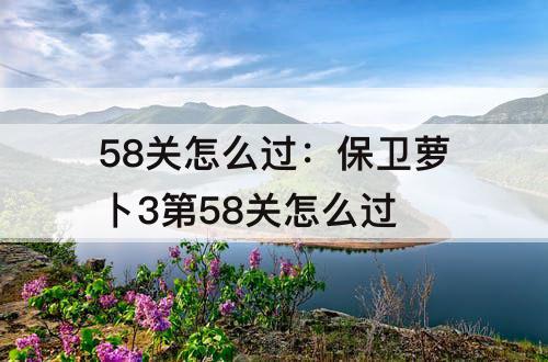 58关怎么过：保卫萝卜3第58关怎么过