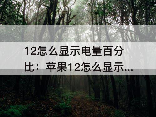 12怎么显示电量百分比：苹果12怎么显示电量百分比ios14.6