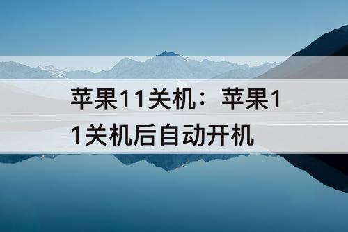 苹果11关机：苹果11关机后自动开机