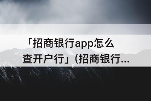 「招商银行app怎么查开户行」(招商银行app怎么查开户行行号)