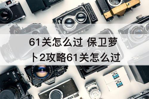 61关怎么过 保卫萝卜2攻略61关怎么过