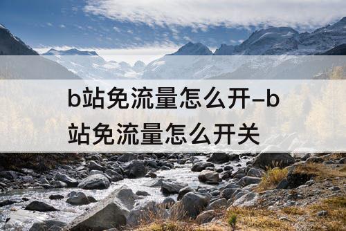 b站免流量怎么开-b站免流量怎么开关