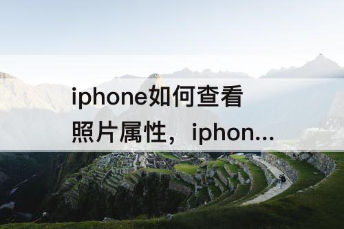 iphone如何查看照片属性，iphone如何查看照片属性解释