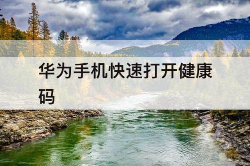 华为手机快速打开健康码