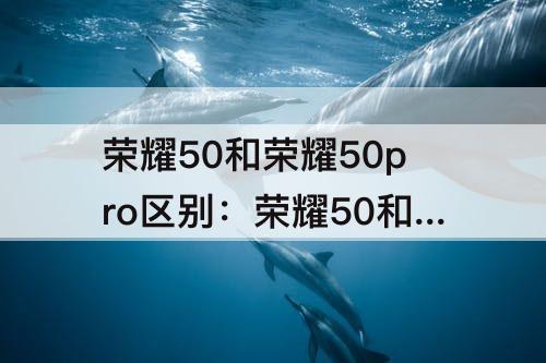 荣耀50和荣耀50pro区别：荣耀50和荣耀50pro区别参数配置