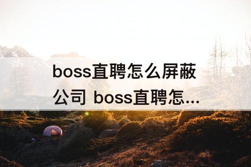 boss直聘怎么屏蔽公司 boss直聘怎么屏蔽公司还能和你说话吗