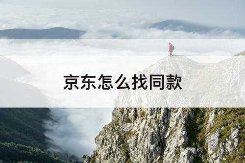 京东怎么找同款