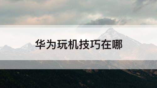 华为玩机技巧在哪