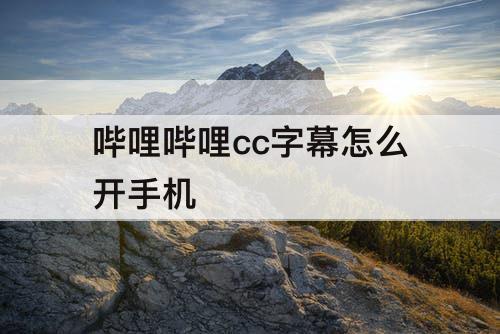 哔哩哔哩cc字幕怎么开手机