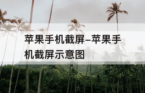 苹果手机截屏-苹果手机截屏示意图