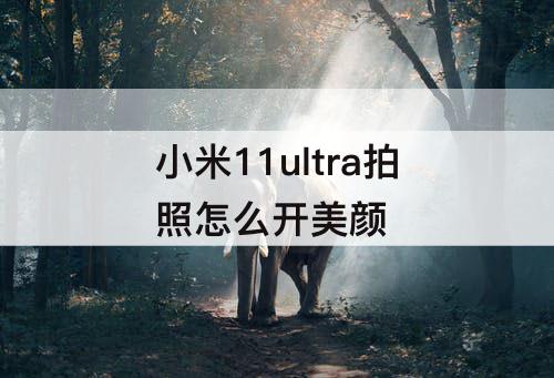 小米11ultra拍照怎么开美颜