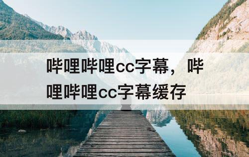 哔哩哔哩cc字幕，哔哩哔哩cc字幕缓存