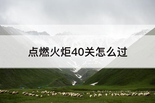 点燃火炬40关怎么过