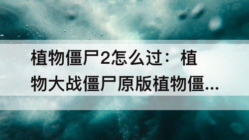 植物僵尸2怎么过：植物大战僵尸原版植物僵尸2怎么过