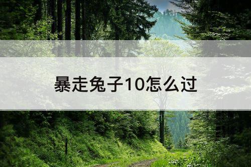 暴走兔子10怎么过