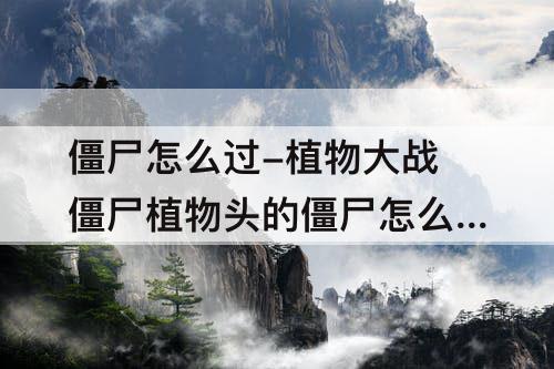 僵尸怎么过-植物大战僵尸植物头的僵尸怎么过关
