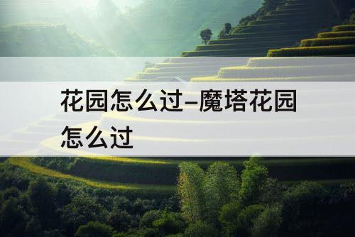 花园怎么过-魔塔花园怎么过