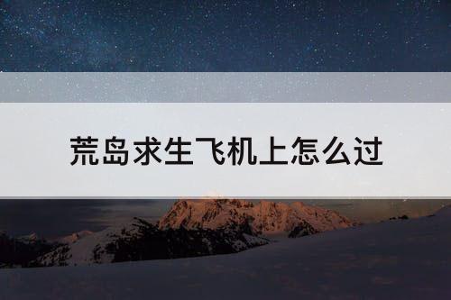 荒岛求生飞机上怎么过