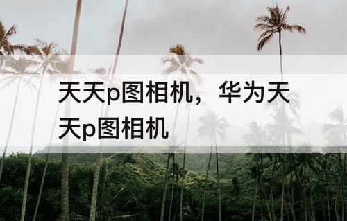 天天p图相机，华为天天p图相机