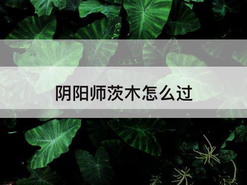阴阳师茨木怎么过