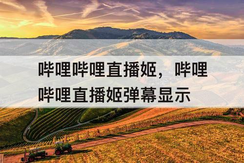 哔哩哔哩直播姬，哔哩哔哩直播姬弹幕显示