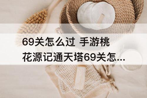 69关怎么过 手游桃花源记通天塔69关怎么过